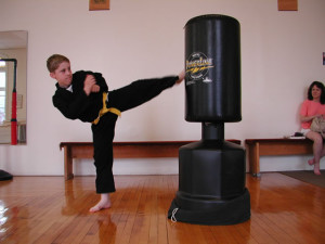 boy karate roundhouse kick