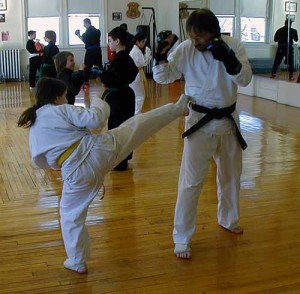 youth karate sparring instruction